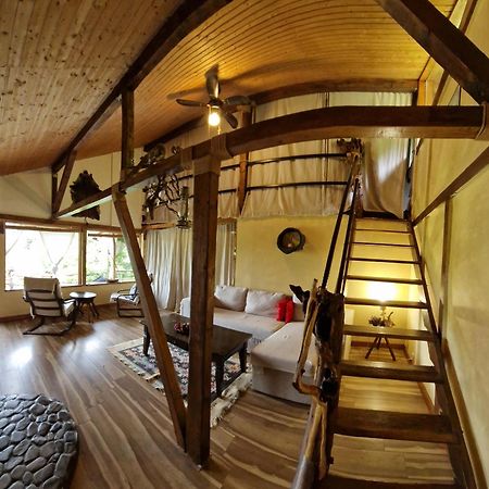 Mystically Wood House In The Forest Carjari Exterior foto