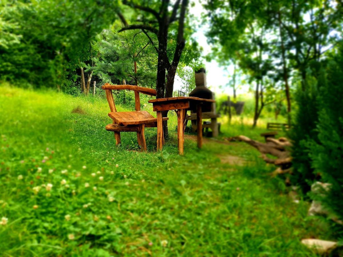 Mystically Wood House In The Forest Carjari Exterior foto