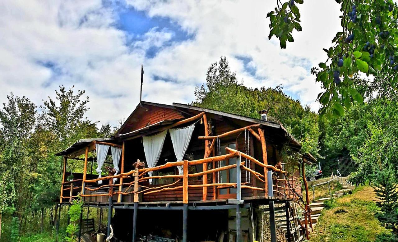 Mystically Wood House In The Forest Carjari Exterior foto